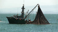 Fishing Boat02