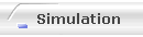 Simulation